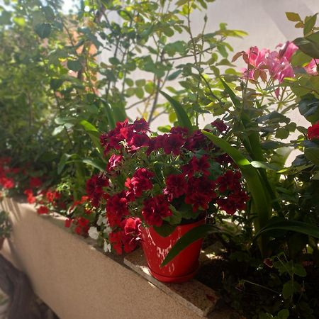 Apartments Gazi Ulcinj Kültér fotó