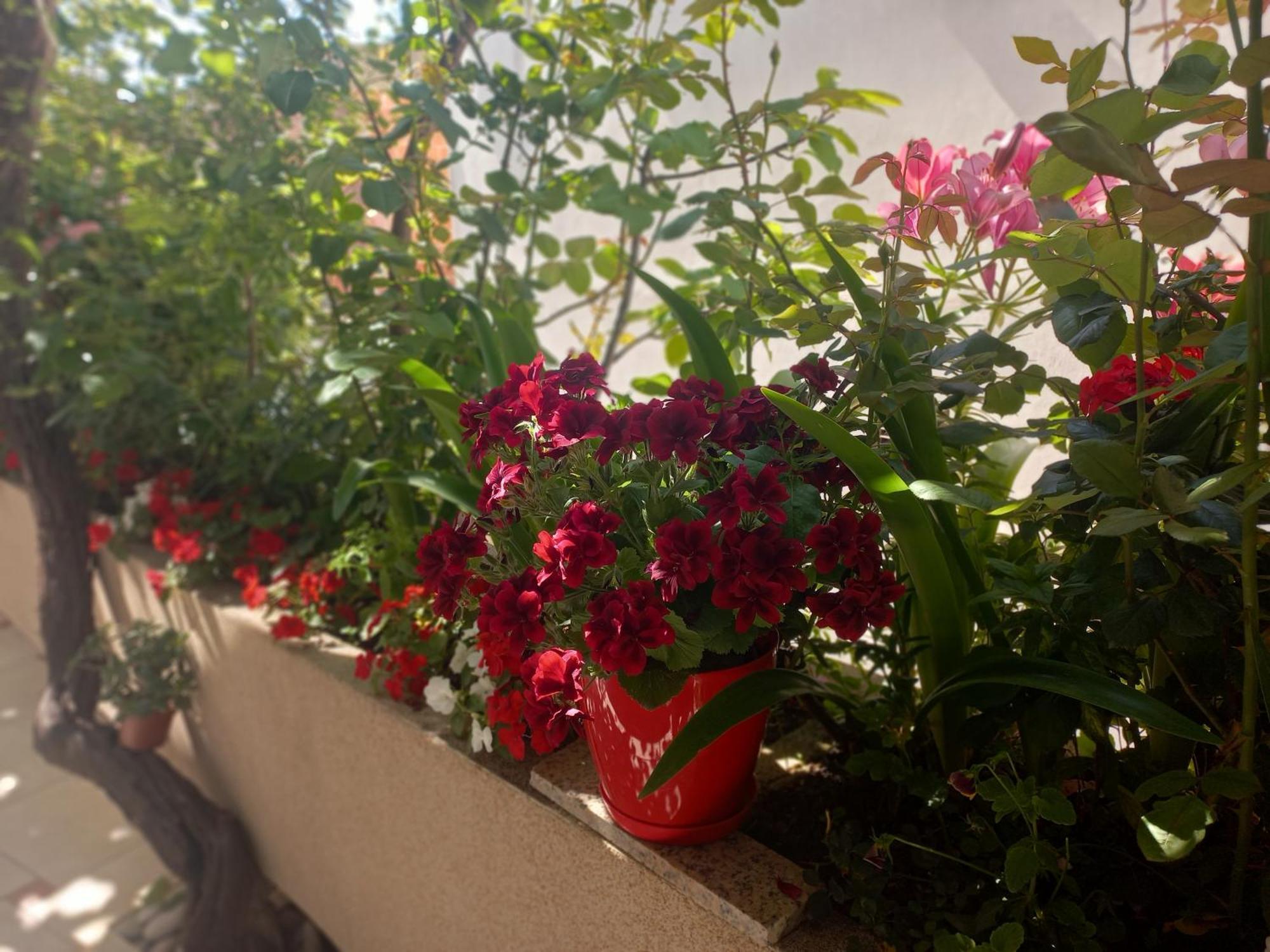 Apartments Gazi Ulcinj Kültér fotó